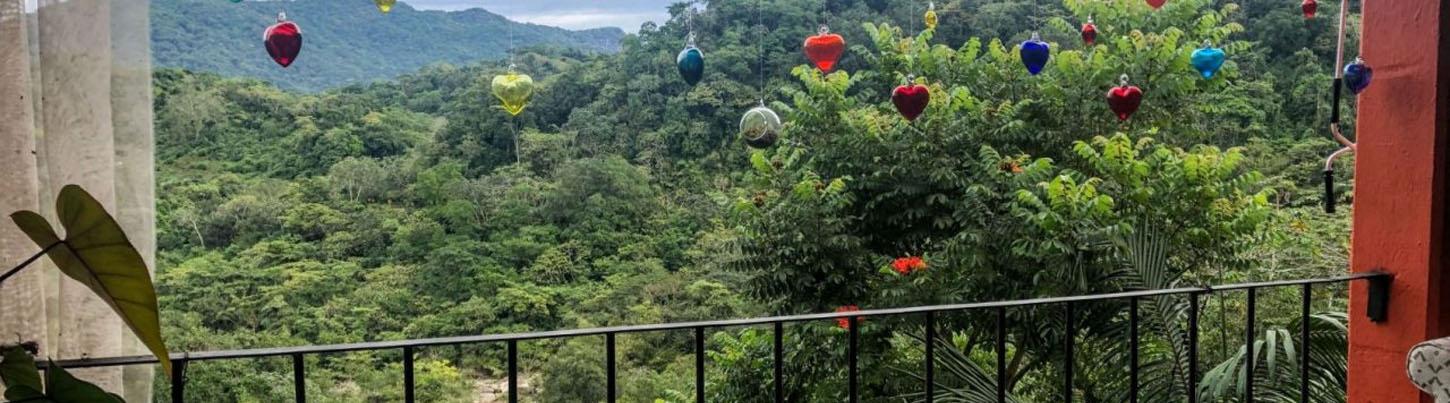 Excursión Ecológica Privada a Los Jardines Botánicos & Escapada a El Tuito 3