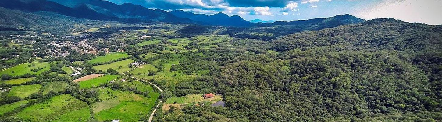 Excursión Ecológica Privada a Los Jardines Botánicos & Escapada a El Tuito 7