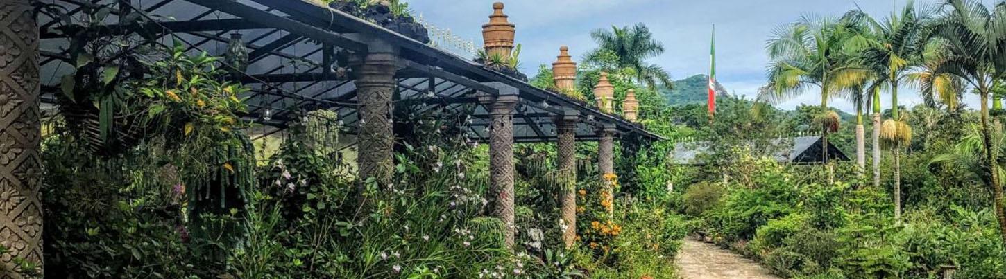 Excursión Ecológica Privada a Los Jardines Botánicos & Escapada a El Tuito 8