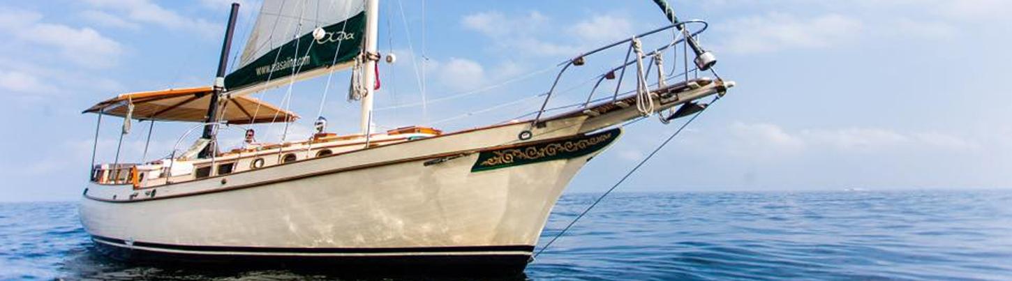 Excursión Lujosa en Velero por la Bahía de Banderas 2