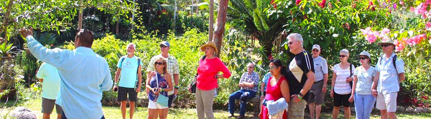 Excursión al Jardín Botánico de Puerto Vallarta 3