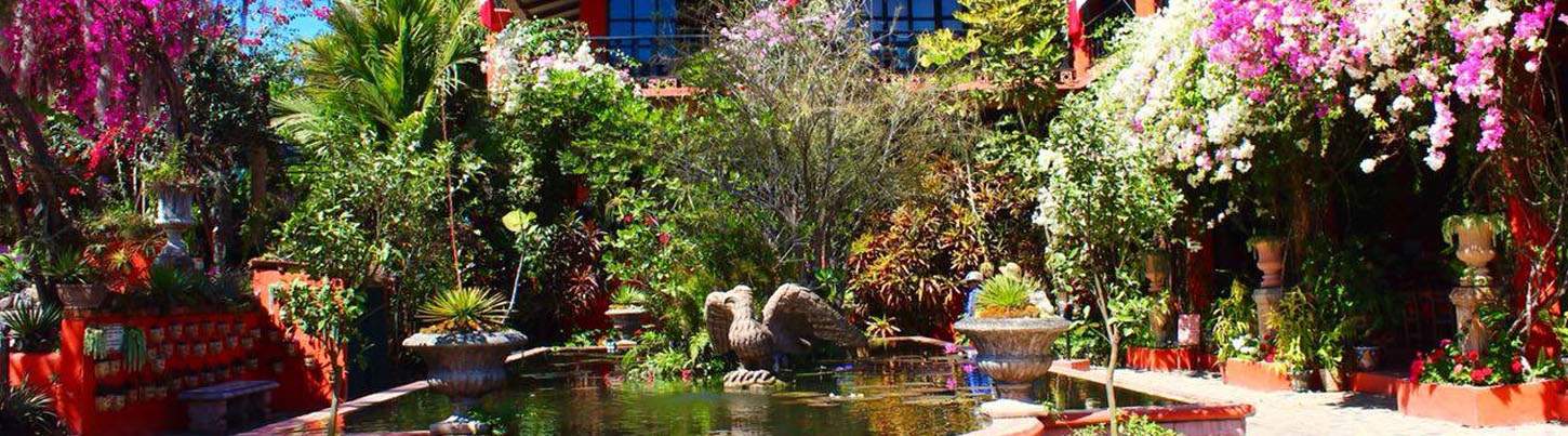 Excursión al Jardín Botánico de Puerto Vallarta 5