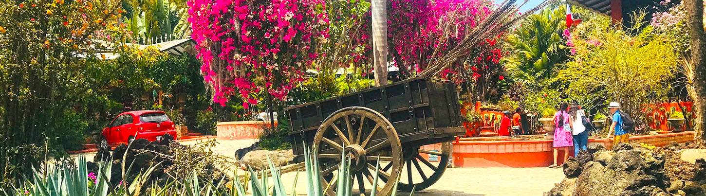 Excursión al Jardín Botánico de Puerto Vallarta 7