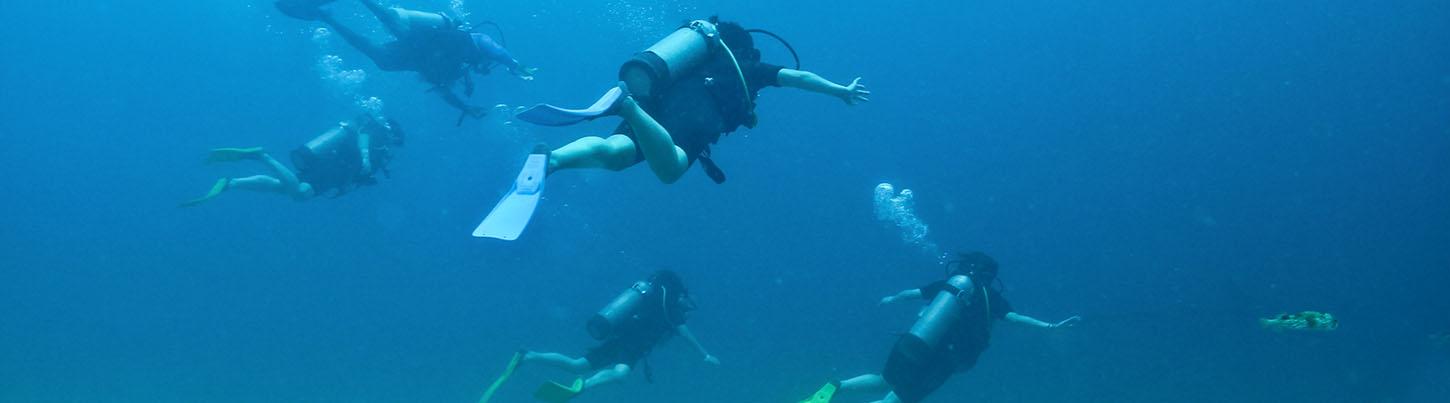 Excursión de Buceo 2 Tanques en Corbeteña 3