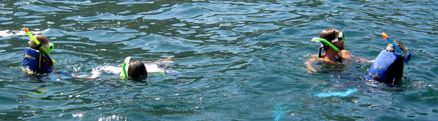 Kayak en el Mar, SUP & Excursión Ecológica de Snorkel en Colomitos 3