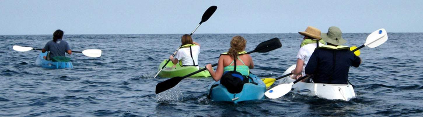 Kayak en el Mar, SUP & Excursión Ecológica de Snorkel en Colomitos 4