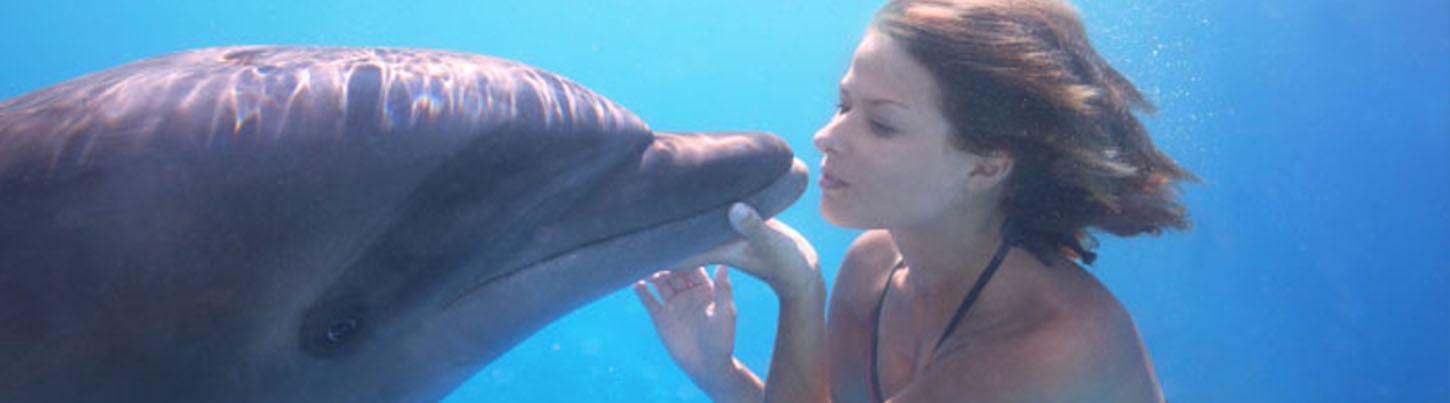 Nado Extremo con Delfines 7