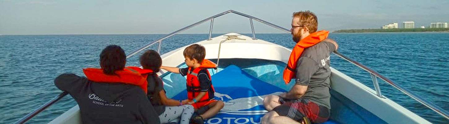 Nado con Delfines Salvajes & Excursión de Snorkel en la Bahía de Banderas 1