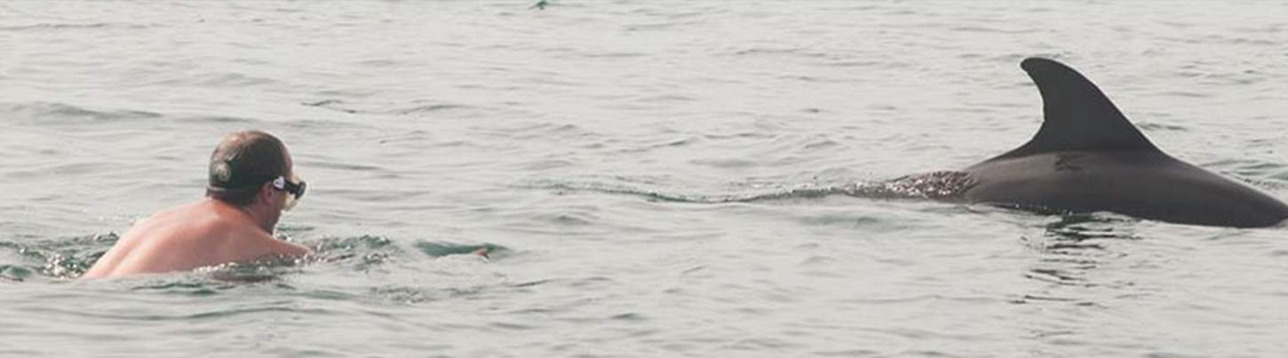 Nado con Delfines Salvajes & Excursión de Snorkel en la Bahía de Banderas 3