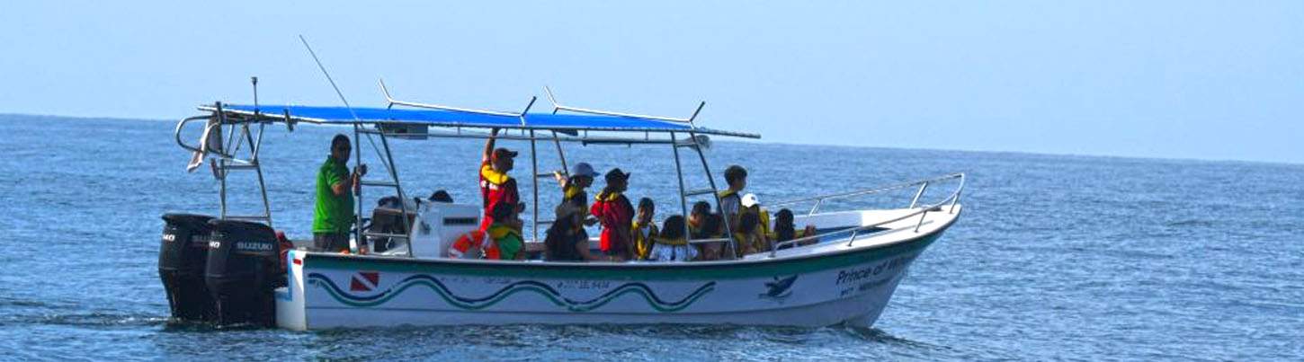 Nado con Delfines Salvajes & Excursión de Snorkel en la Bahía de Banderas 6