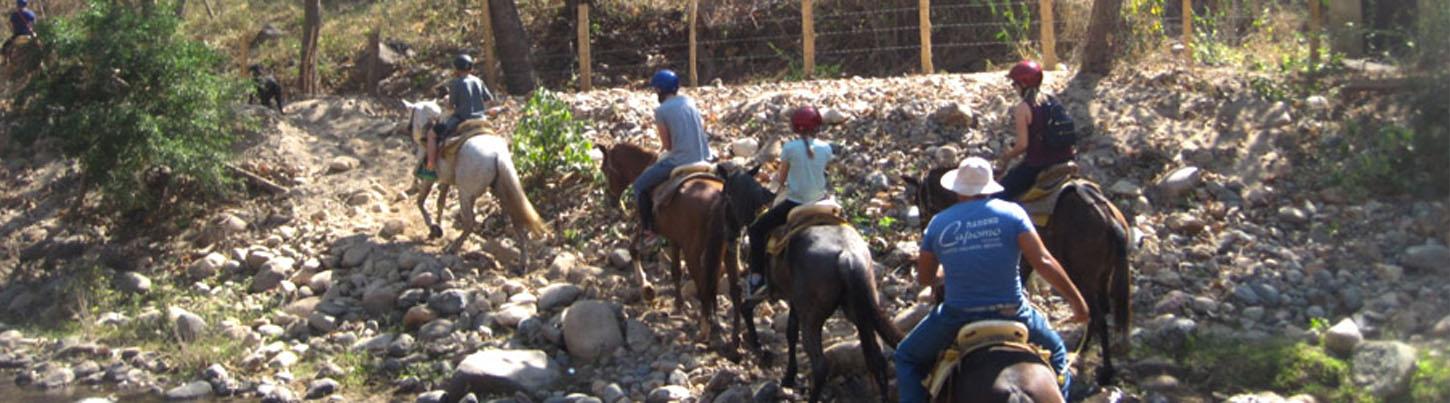 Paseo en Caballo & Caminata a la Cascada en Puerto Vallarta 2