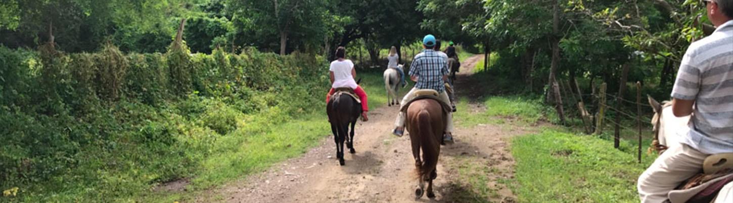 Paseo en Caballo & Caminata a la Cascada en Puerto Vallarta 6