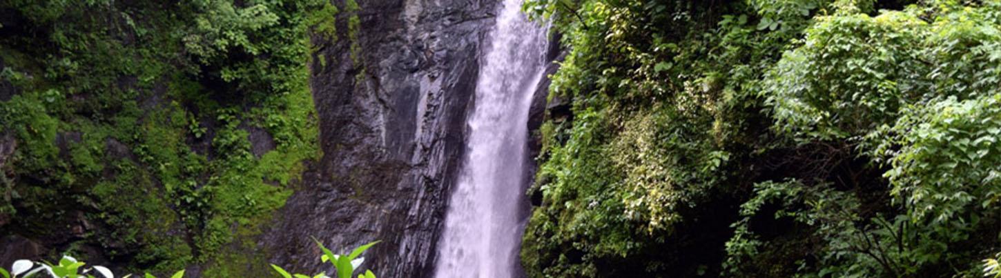 Paseo en Caballo & Caminata a la Cascada en Puerto Vallarta 8