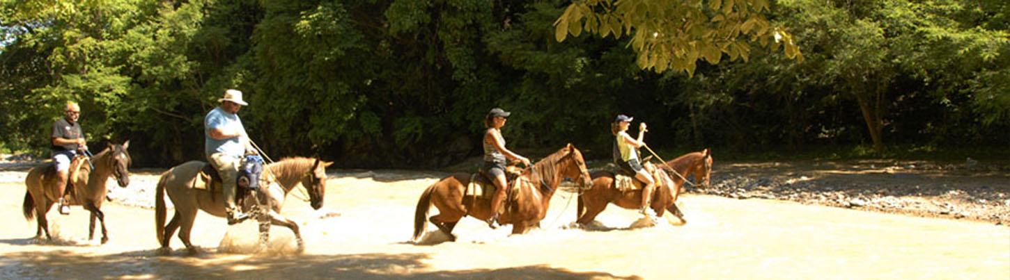 Paseo en Mula por el Rio Cuale en la Sierra Madre 7