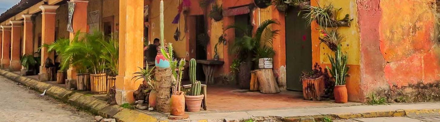 Pueblo Escondido El Tuito & Descubriendo el Jardín Botánico en Vallarta 3