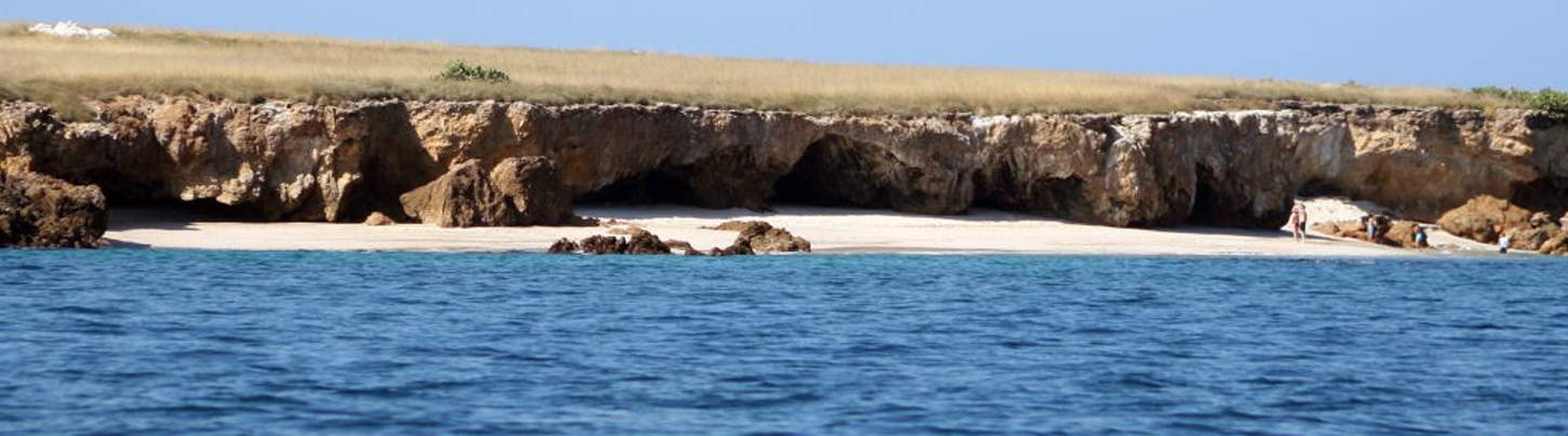 Snorkel en Islas Marietas & Excursión Ecológica de Aves Marinas 8