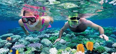 Excursiones de Snorkel Privadas en Puerto Vallarta