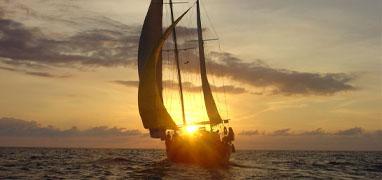 Paseo en Velero por Bahía de Banderas en Puerto Vallarta